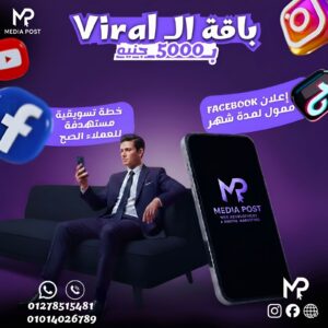إدارة حملات إعلانية احترافية تحقق نتائج باقه ال viral
